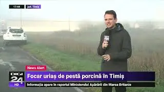 Focar uriaș de pestă porcină la cel mai mare producător din țară