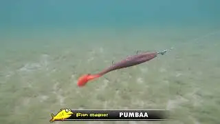 Силиконовая приманка Fish Magnet PUMBAA 8&Prime; игра под водой