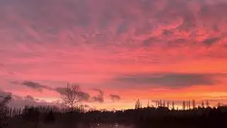 Gorgeous Sunset Woodinville Washington State 12-12-25