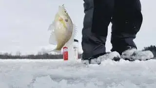 come fishing with me and the g family