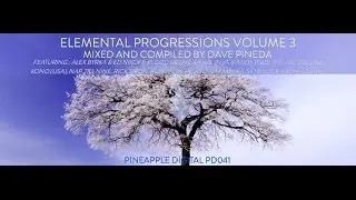 Ryo Nakamura - Melting Of Snow (Original Mix) HD [Pineapple Digital]