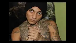 Pinche Mara - El Mara - Sexy Lady