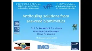6.4 | Antifouling solutions from seaweed biomimetics