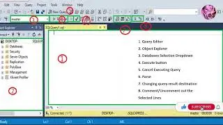 Introduction to Data Management Studio IDE
