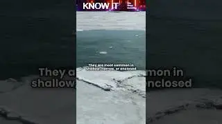 What Is an Ice Shove?