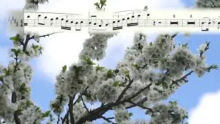 Dinka ft. Syntheticsax - Elements (EDXs Remix) Backing Track & Sheet for Music SaxophoneSoprano