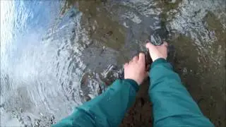 Small Stream Fishing Big Wild Brown Trout in Western New York