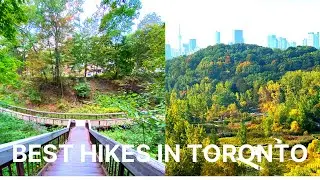 BEST WALKING TRAILS IN TORONTO / stairs, beach and lush forest