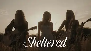 The Castellows - Sheltered (Official Music Video)