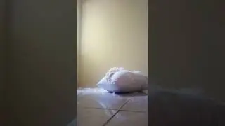 kapook pillow destruction