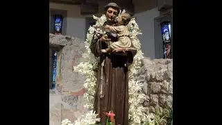 SANTUARIO Sant' Antonio da Padova  GEMONA DEL FRIULI- S. MESSA  feriale -