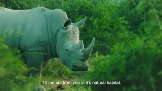 Ultra Pet - For Future Generations 15 sec