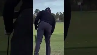 Tiger woods driver swing down the line #golfswing #tigerwoods #pgatour