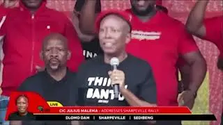 TRUMP'S TWIST: Julius Malema Speeches Used to Confront Ramaphosa in Shocking Oval Office Meeting