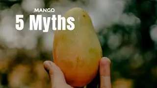 5 Common Mango Myths Vs Facts || Hindi || Wellness Munch || Dr. Soma Chakrabarty