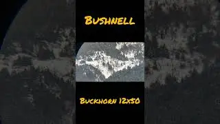 Bushnell Buckhorn 12x50 Binoculars