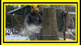 TREE CUTTING IN THE SNOW AUSTRIA