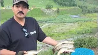 Trout fishing in crystal clear water stream || Minimergh gilgit baltistan 