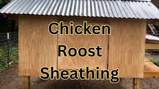 Chicken roost sheathing installed. It all coming together.