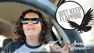 Just keep flapping: stay positive when you&rsquo;re getting nowhere