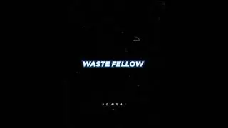 Waste fellow
