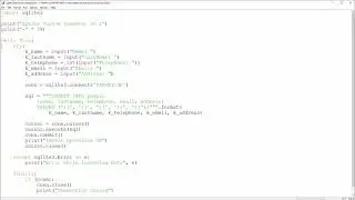 SQLite & Python - 4 - Insert Values to a Table from User Input