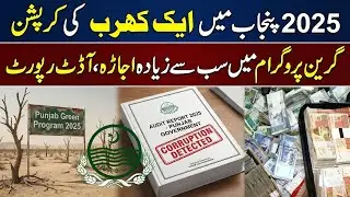 Punjab Mega Corruption Scandal | Audit Reveals Massive Losses, Green Program Devastated