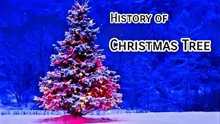 History of Christmas Tree - The History