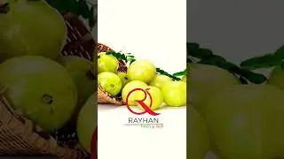Rayhan Food's