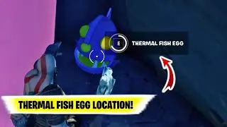 Egg Hunt 2 Space THERMAL FISH EGG | Fortnite Egg Hunt 2 | Fortnite egg hunt 2 locations space