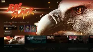 Roc Slayer - Modern Warfare Bundle Store Pack Preview - cod (No Commentary)