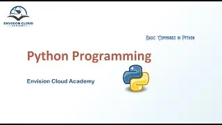 Using basic commands in Python