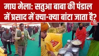 Magh Mela Prayagraj: Satua Baba के पंडाल में भक्तों को क्यों बांटा जाता है सतुआ और चीनी?