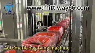 Water-soluble organic fertilizer complete line packaging case Chemical industry packaging machine