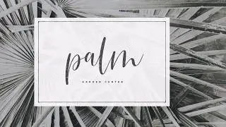 Julietta font video