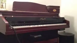 QRS Playola The Voice