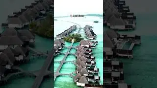 Beautiful Places on Earth Maldives Island #shorts #ytshorts #maldives #islands #bluewater #travel