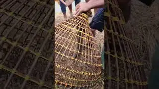 Asian Country Fishing #shorts | Amazing Rural Fishing Video 🇮🇳 Best Asian Fishing Technique #shorts