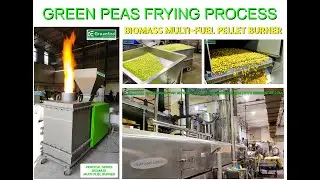 GREEN PEAS FRYING | NAMKEEN MANUFACTURING | BIOMASS MULTI-FUEL PELLET BURNER | RE Greenfire&trade;