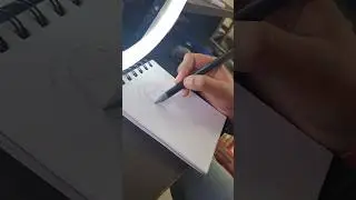 Drawing Nami ONE PIECE #shorts #nami  #onepiece  #drawinganime #tannu #ytshorts