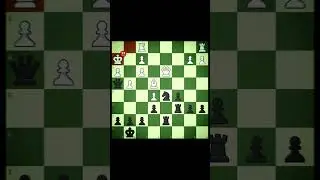 Are my rooks in trouble??? My Brilliancy(432) #brilliantmove #chess #chesstactics #brilliancy