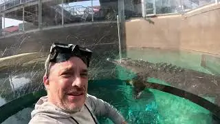 Insane Cage Dive with a Giant Saltwater Crocodile - Crocosaurus Cave in Darwin - Australia