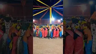 Karma kuhuki gabo | Cg song video 🥰 #karma #dance #shorts #viral #viralshorts #cgsong #chhattisgarh