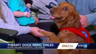 Therapy dog helps Iowa family pay it forward at Blank Children's Hospital
