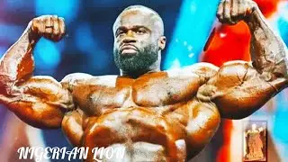 Нигерийский лев #Зверь с классическим стилем