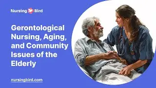 Gerontological Nursing, Aging, and Community Issues of the Elderly - Essay Example