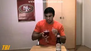 Dogfish Head Punkin Ale Beer Review - Inspection #22