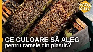 Ce culoare sa aleg pentru ramele din plastic ?