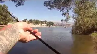 Fishing my local lake Puddingstone