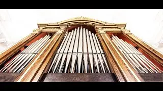 Organo: il medico dell'interiorit&agrave; [Ep. 7 di Tastiere: alle fonti dello spirito]